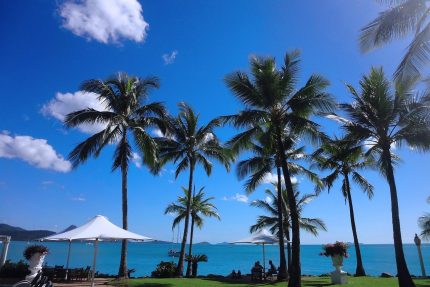 airlie beach